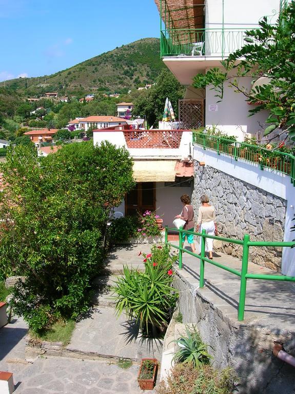 Alma 3*