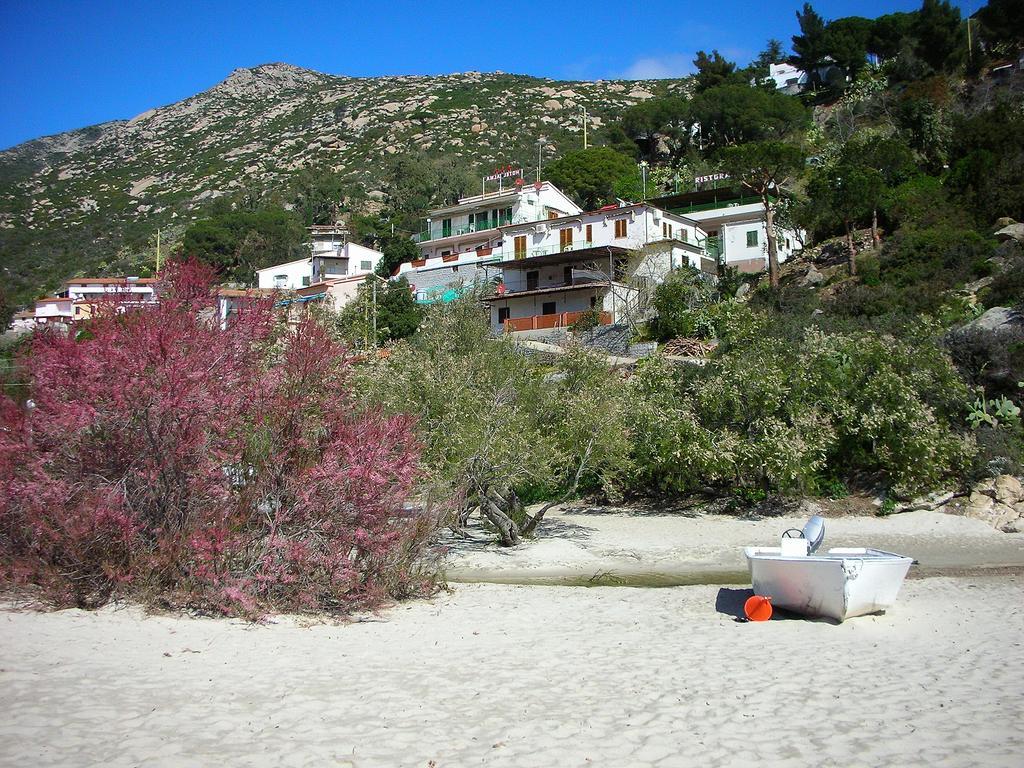 Alma